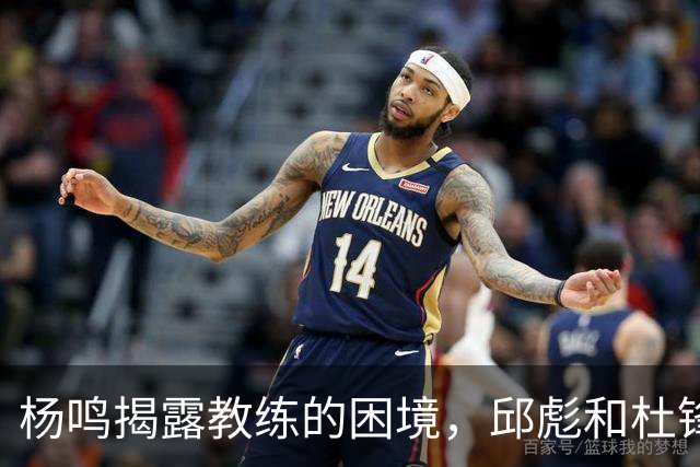杨鸣揭露教练的困境，邱彪和杜锋的小团队行为是否成为自保策略？